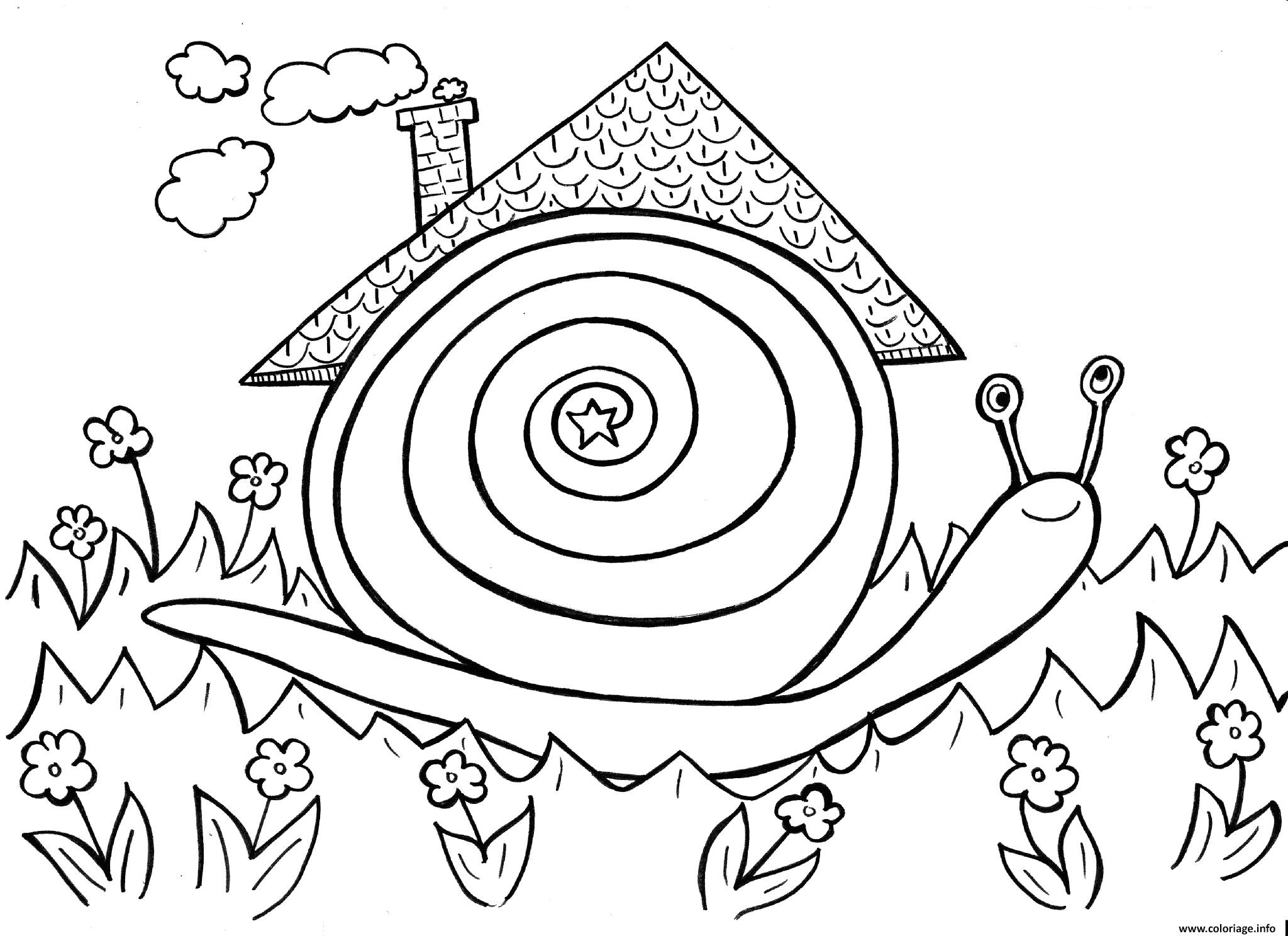 Dessin escargot dans son habitat naturel Coloriage Gratuit à Imprimer